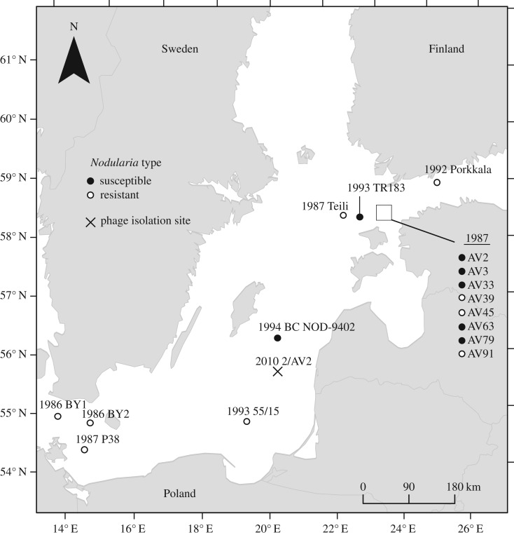 Figure 1.