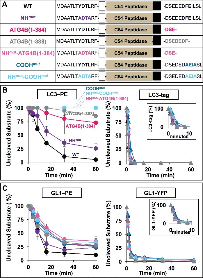Figure 5.