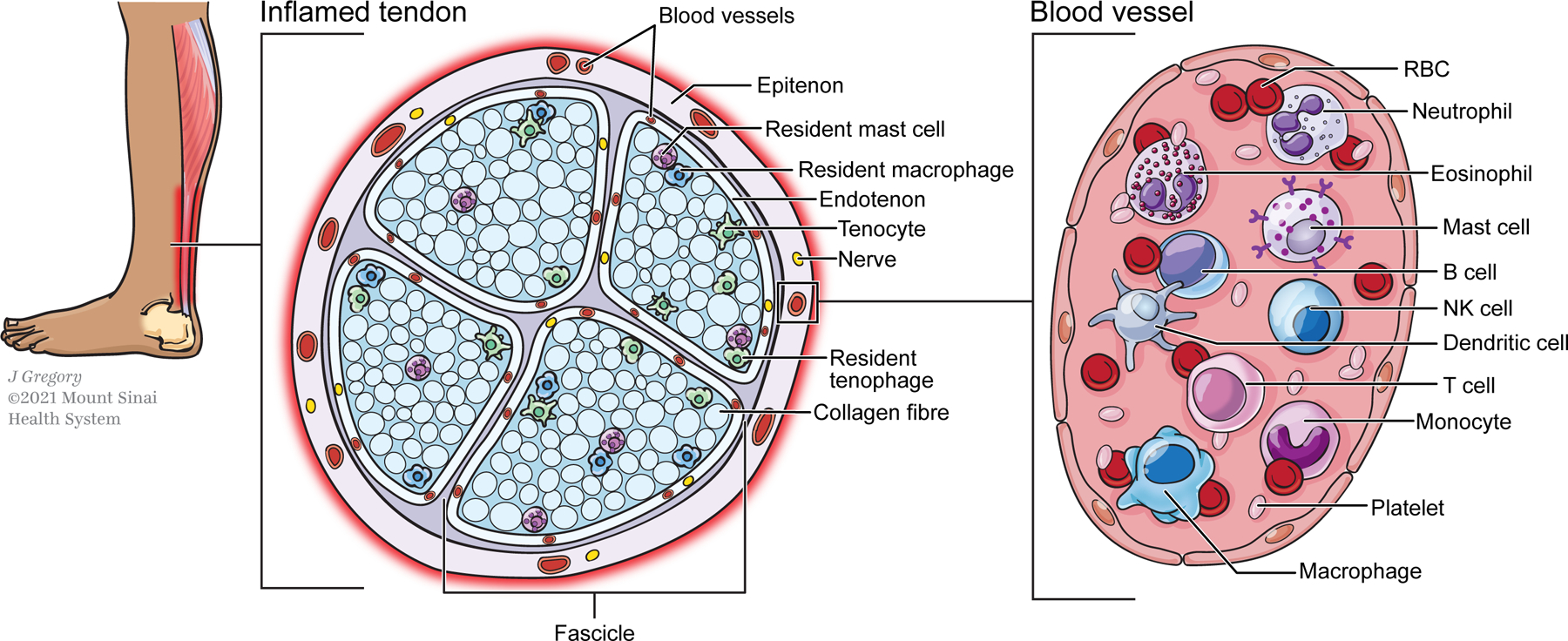 Figure 1: