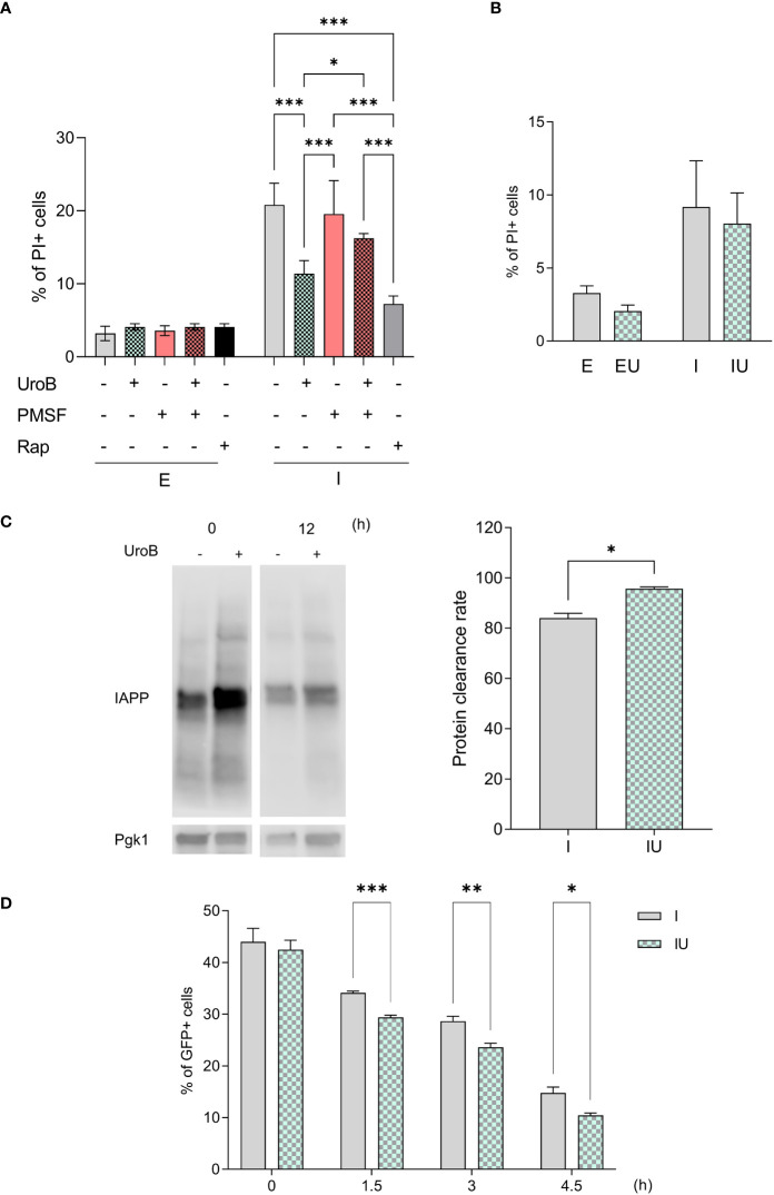 Figure 5