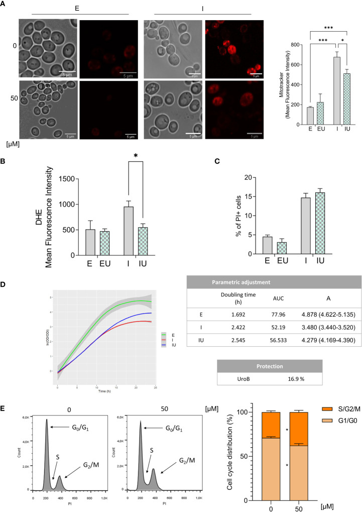 Figure 6