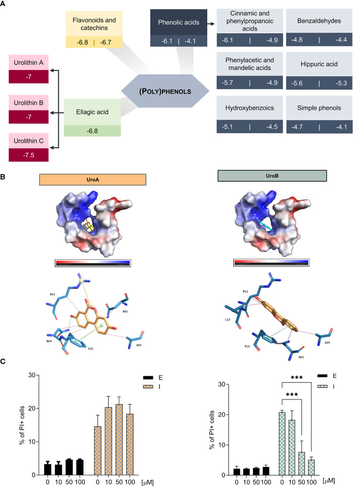 Figure 1