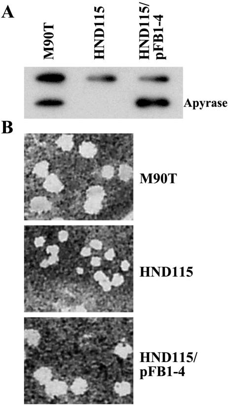 FIG. 6.