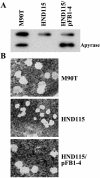FIG. 6.