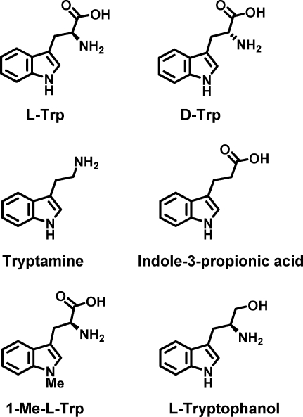 Scheme 4