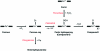 Scheme 6