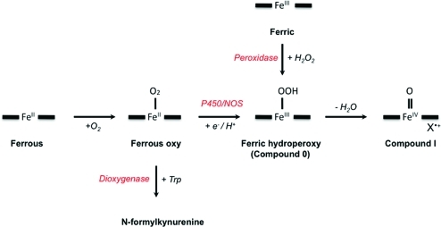 Scheme 6