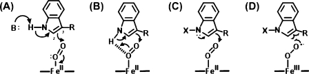 Scheme 3