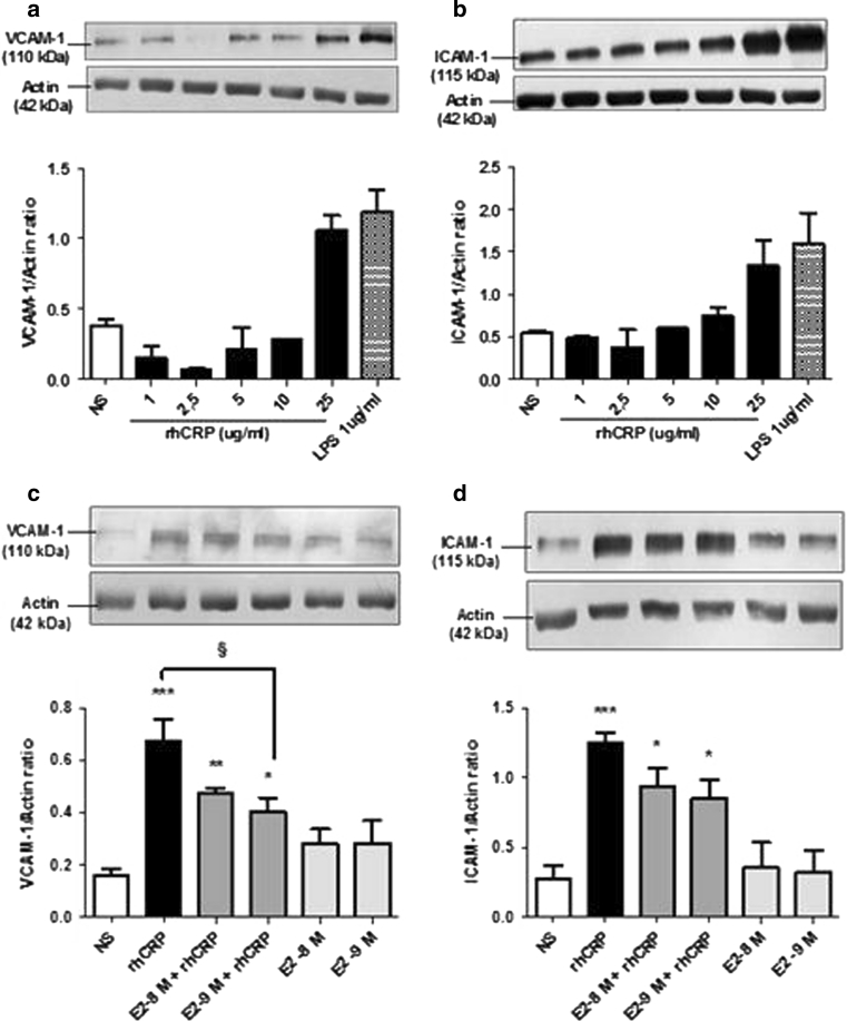 Fig. 4