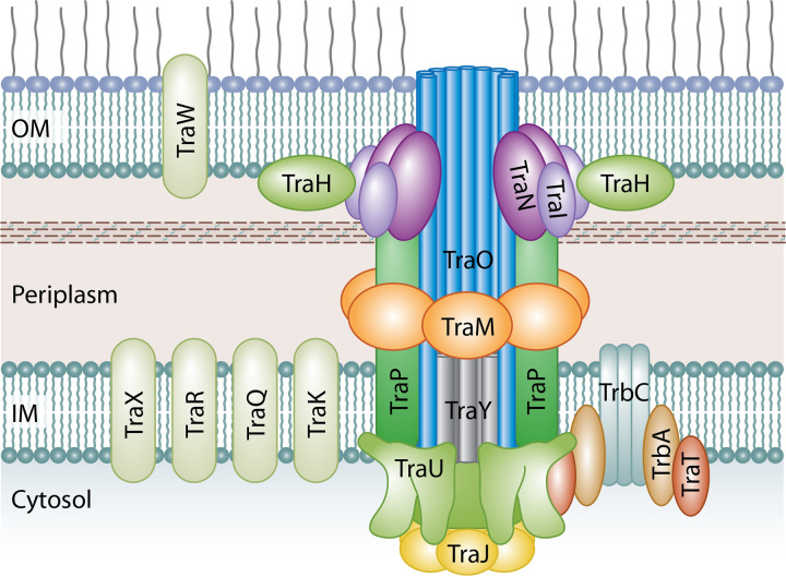 FIG 5