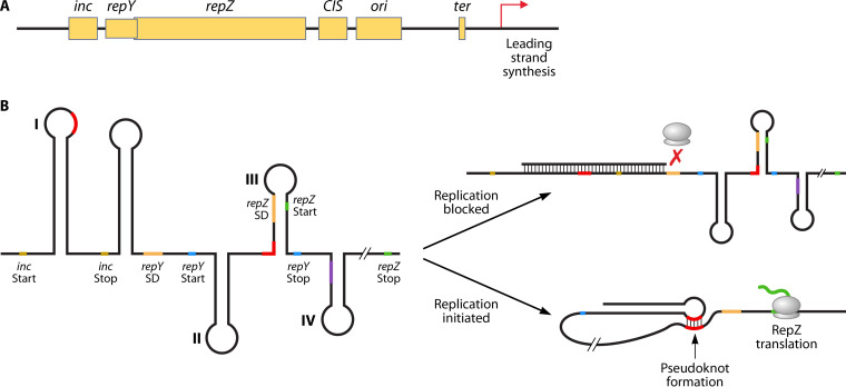 FIG 3