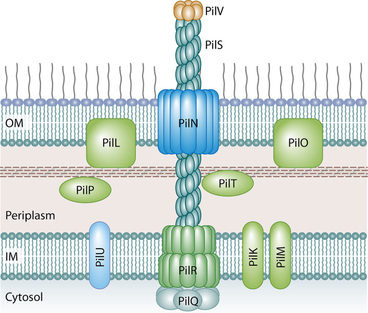 FIG 6