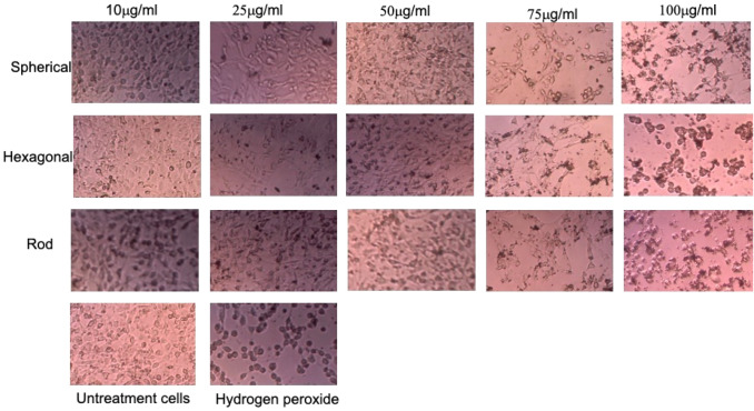 Fig. 9