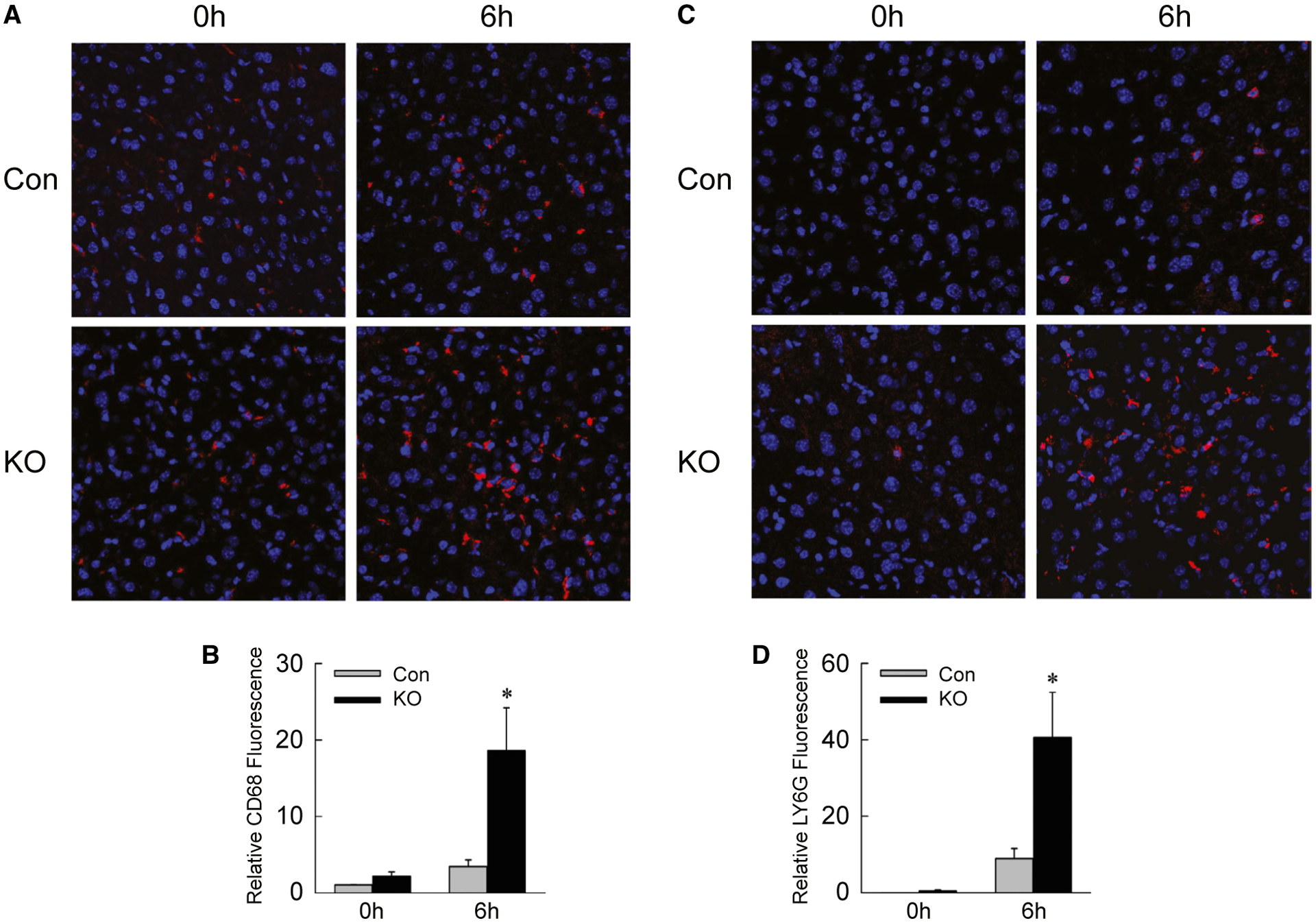 FIG. 7.