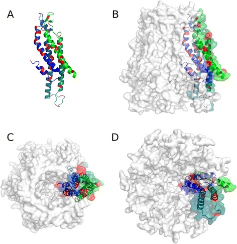 Fig. 1