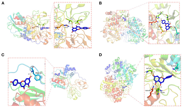 Figure 5