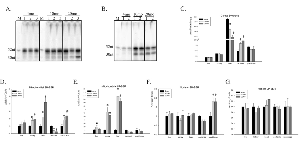 Fig.1