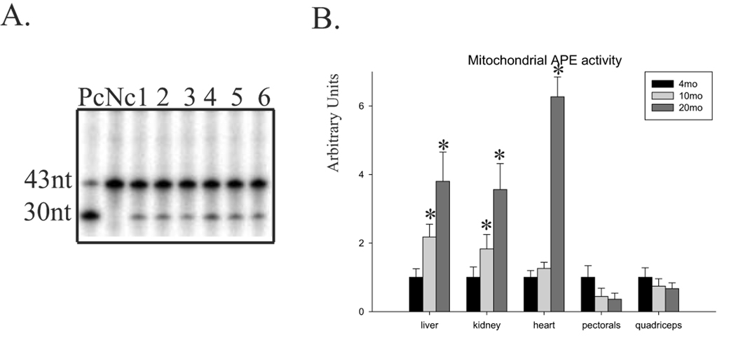 Fig.2