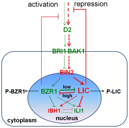 Figure 9