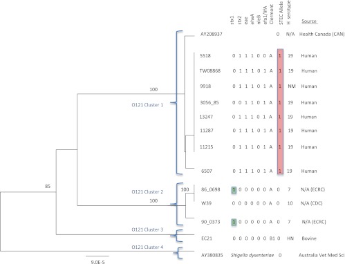 Fig 6