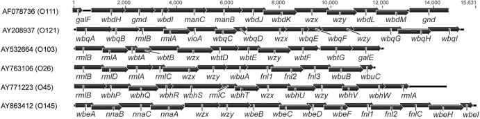 Fig 1