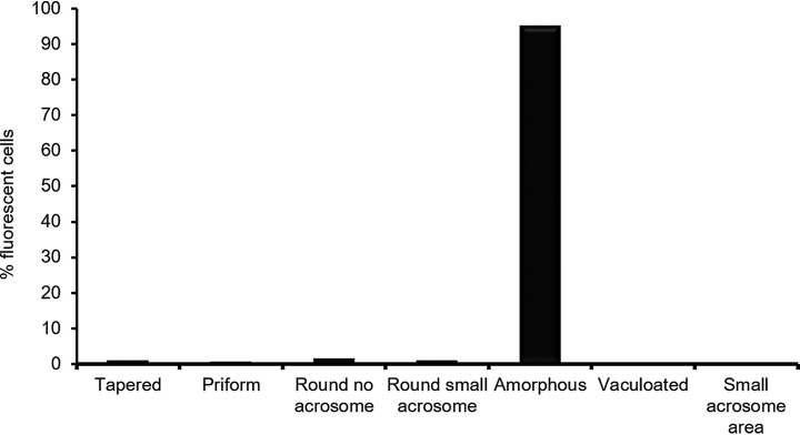 Fig. 8.