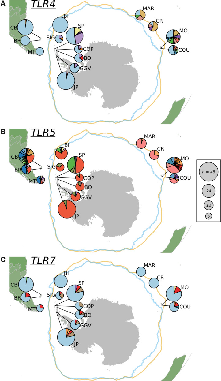 Fig. 4.