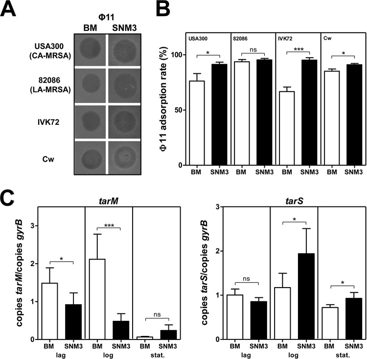 FIG 1 