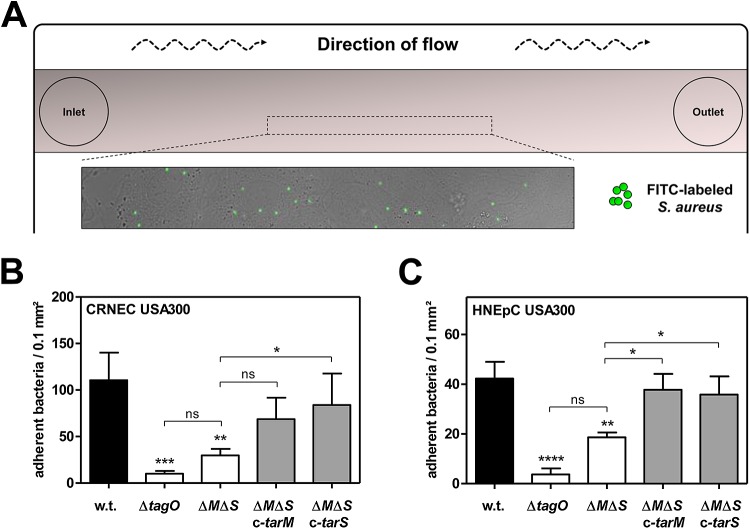 FIG 3 