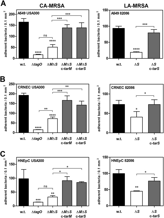 FIG 2 