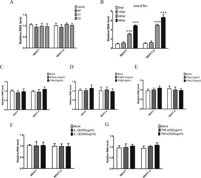 FIG 6