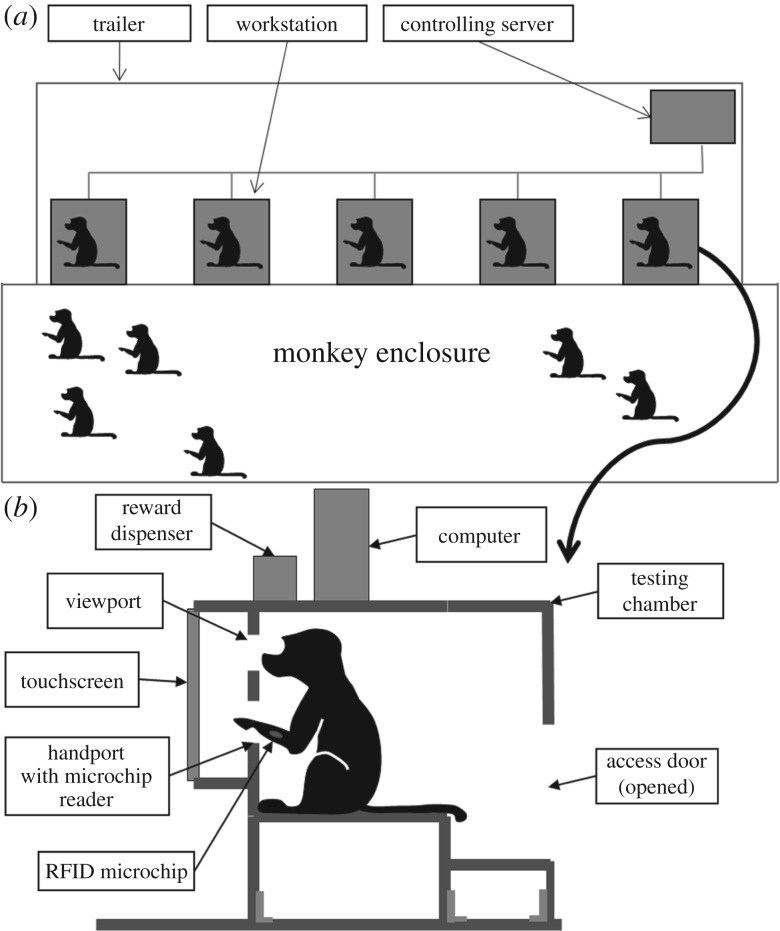 Figure 1.