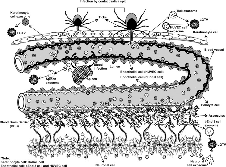 Fig 8