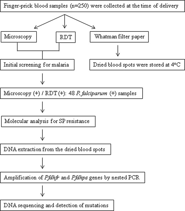 Fig. 1