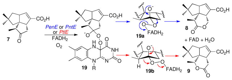 Scheme 4