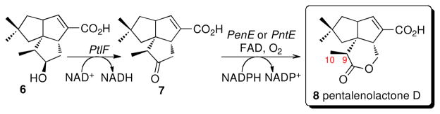 Scheme 2