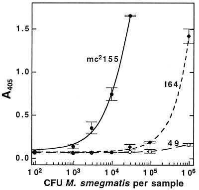 FIG. 5