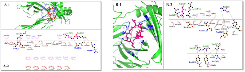 Fig. 4