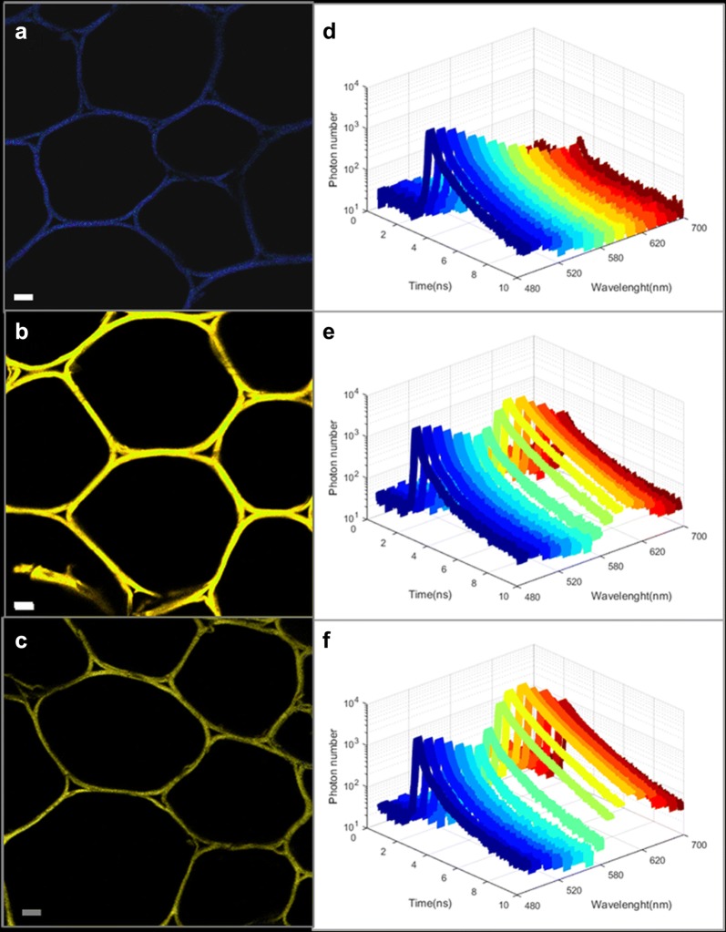 Fig. 2