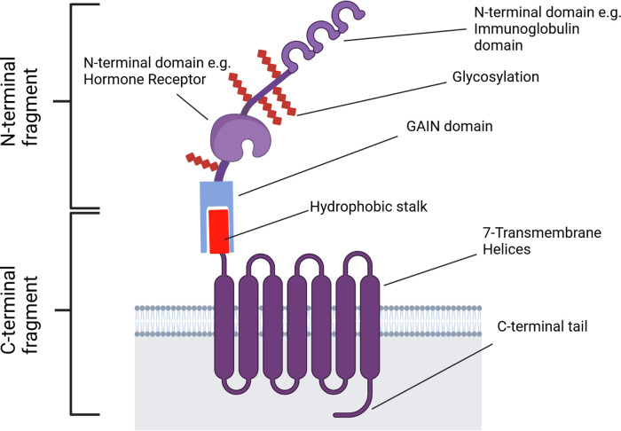 Figure 2.