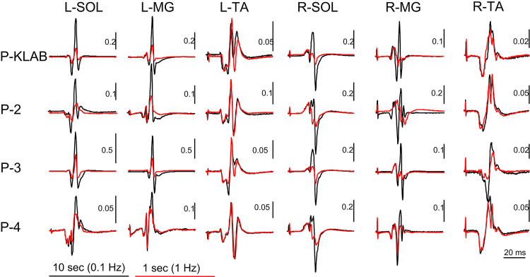 Figure 9.