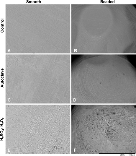 Fig. 2A–F