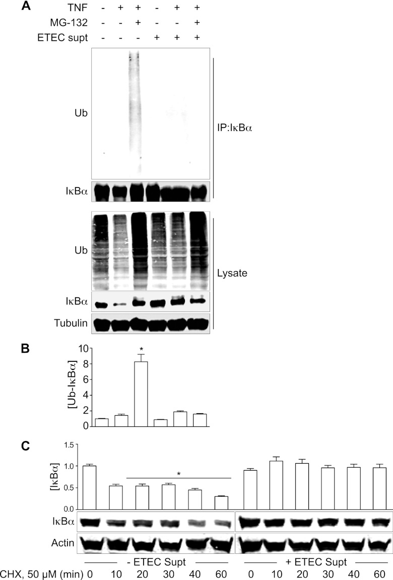 Fig 5