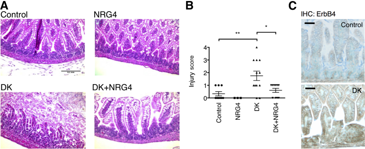 Figure 2