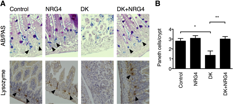 Figure 3