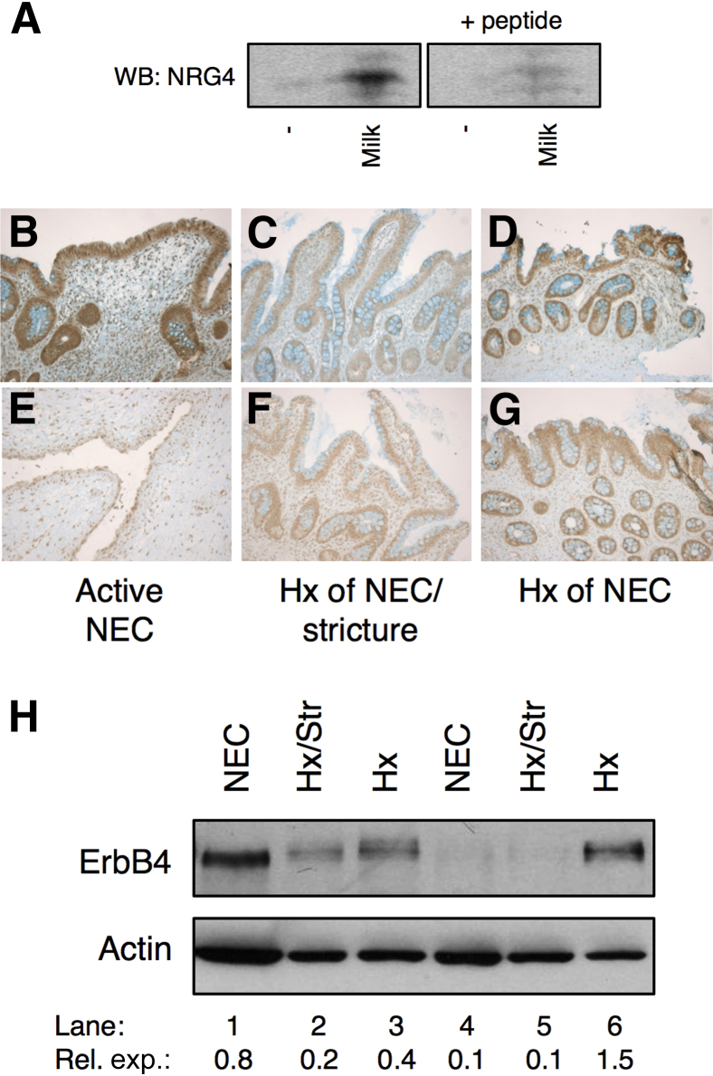 Figure 6