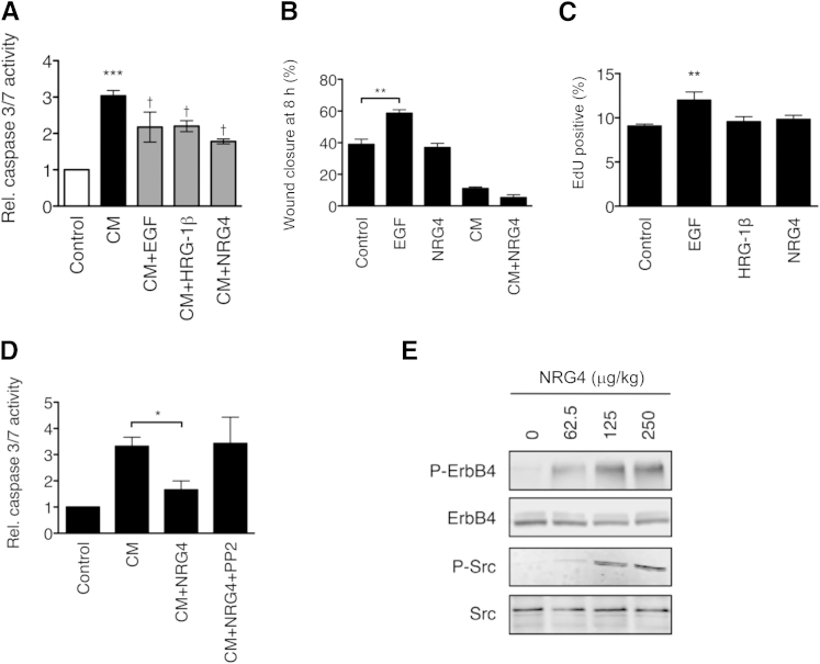 Figure 5