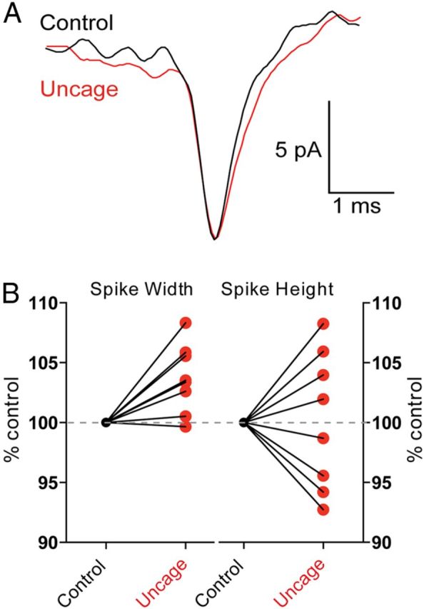 Figure 7.