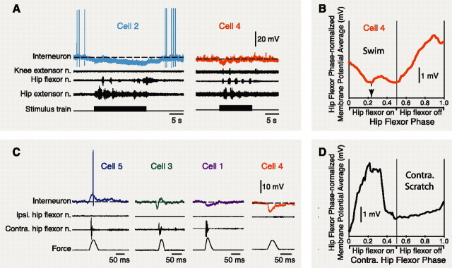 Figure 4.