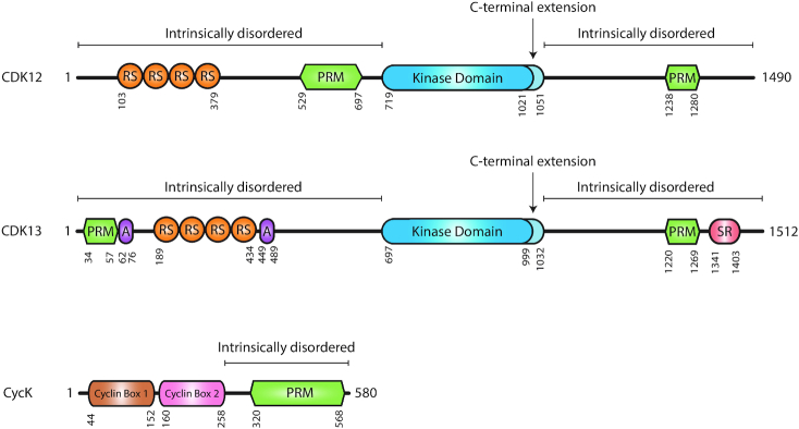 Figure 1.